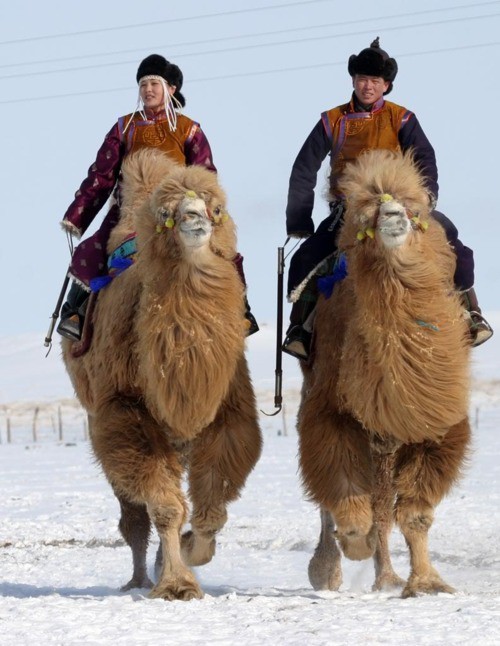 Photo:  Camel riders in the Gobi desert